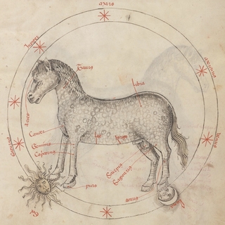 horse zodiac